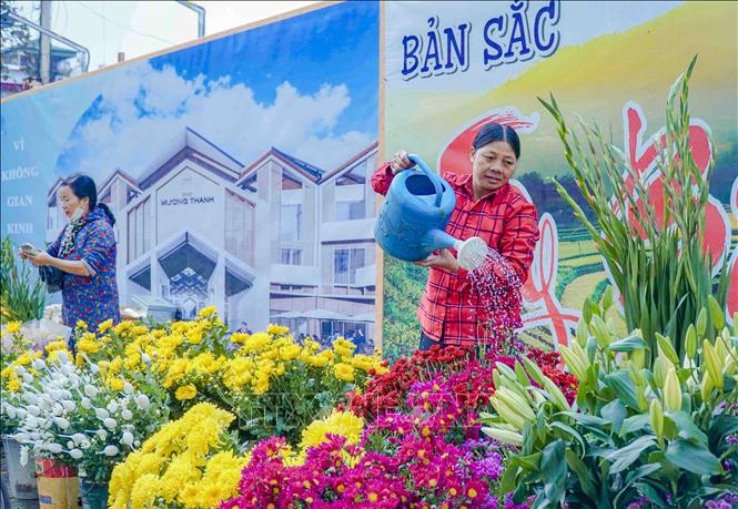 Trong ảnh: Chợ hoa rực rỡ tại phường Mường Thanh, TP Điện Biên Phủ. Ảnh: Xuân Tư – TTXVN