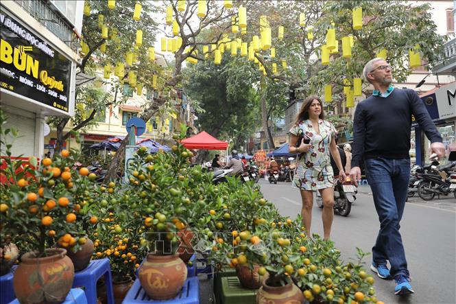 Quất cảnh bonsai được bày bán tại phố Hàng Lược phục vụ thị trường Tết Nguyên đán. Ảnh: Minh Quyết - TTXVN