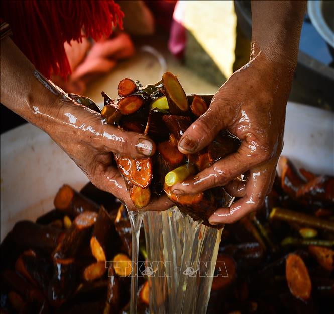 Trong ảnh: Một số loại cây trên rừng (theo tên gọi của bà con địa phương) sau khi ngâm nước sẽ tạo ra chất keo kết dính. Ảnh: Nam Thái - TTXVN