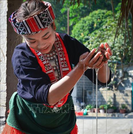 Trong ảnh: Loại cây trên rừng (theo tên gọi của người dân địa phương) sau khi được ngâm nước sẽ tiết ra chất keo dính, từ đó hòa trộn với những nguyên liệu khác tạo chất kết dính khi làm giấy. Ảnh: Nam Thái - TTXVN