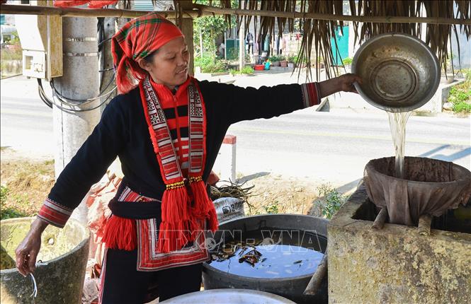 Trong ảnh: Chất keo kết dính được hòa trộn với nước và bột cây vầu non. Ảnh: Nam Thái - TTXVN