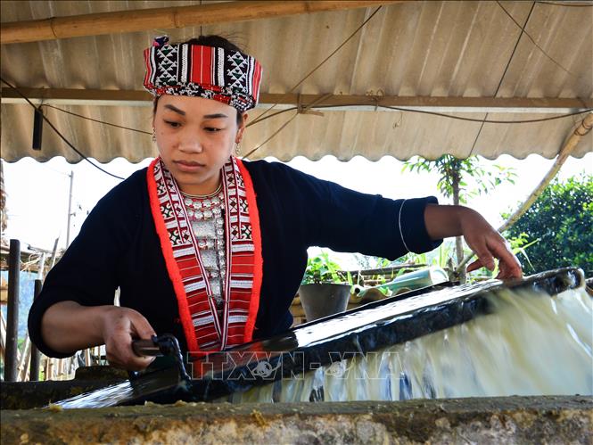 Trong ảnh: Cây vầu non sau khi trải qua nhiều quá trình xử lý sẽ được nghiền, hòa với nước cùng một số nguyên liệu, sẽ được tráng để làm giấy bản. Ảnh: Nam Thái - TTXVN