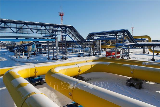 Trong ảnh: Đường ống dẫn khí tại trạm nén khí Atamanskaya, cơ sở thuộc dự án Power of Siberia ở thị trấn Svobodny, vùng Amur (Nga). Ảnh: REUTERS/TTXVN