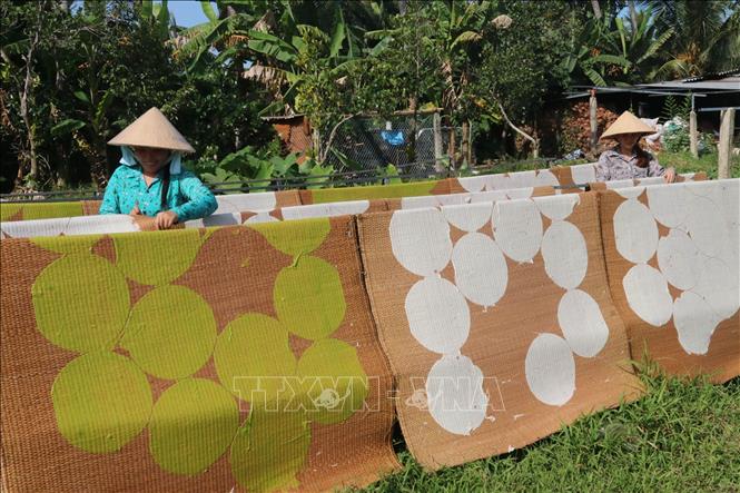 Công đoạn phơi bánh phồng tại cơ sở Quang Long, ấp An Hiệp, xã Đông Hòa Hiệp. Ảnh: Minh Trí – TTXVN