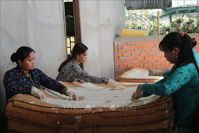 Làng nghề bánh phồng Cái Bè (Tiền Giang) tất bật vào vụ Tết - Ảnh thời sự trong nước - Kinh tế - Thông tấn xã Việt Nam (TTXVN)