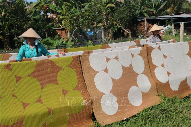 Công đoạn phơi bánh phồng tại cơ sở Quang Long, ấp An Hiệp, xã Đông Hòa Hiệp. Ảnh: Minh Trí – TTXVN