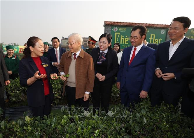 Tổng Bí thư Nguyễn Phú Trọng thăm vườn chè của Hợp tác xã Hảo Đạt, thành phố Thái Nguyên. Ảnh: Trí Dũng– TTXVN