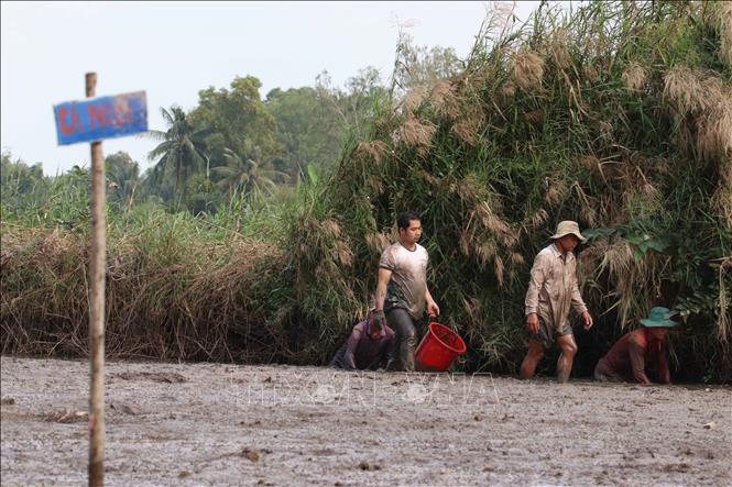 Trong ảnh: Bắt cá đồng sau hơn 3 tháng ruộng ngập lũ. Ảnh: Duy Khương - TTXVN