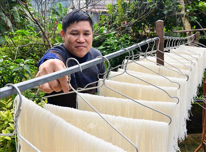 Trong ảnh: Những mẻ bún được phơi khô. Ảnh: Nam Thái - TTXVN