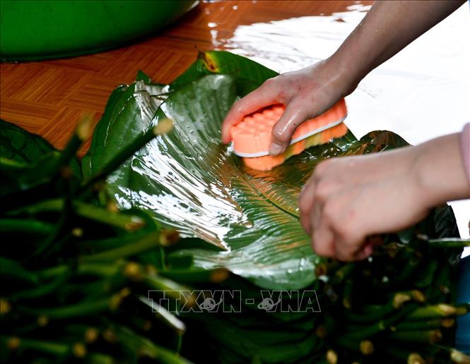 Trong ảnh: Những chiếc lá dong được rửa sạch trước khi đem đi gói bánh. Ảnh: Nam Thái - TTXVN