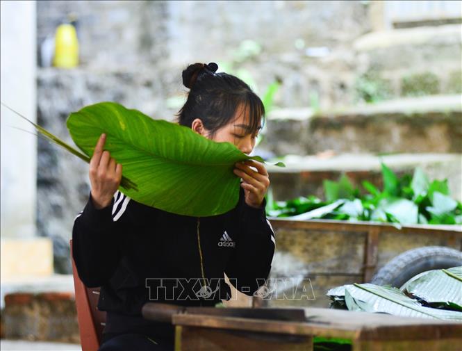 Trong ảnh: Những chiếc lá dong sau khi được rửa sạch, lau khô sẽ được tước bỏ phần gân. Ảnh: Nam Thái - TTXVN