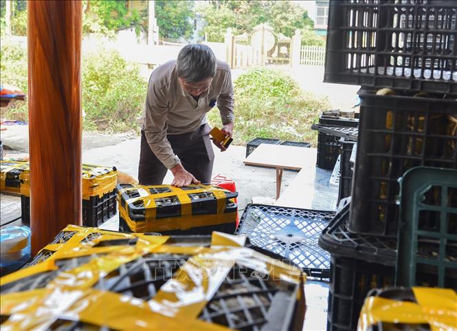 Trong ảnh: Những chiếc bánh thành phẩm được đóng gói, xuất ra thị trường. Ảnh: Nam Thái - TTXVN