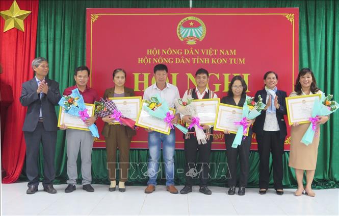 Các cá nhân, tập thể có thành tích xuất sắc trong các hoạt động tín dụng của Hội nông dân được khen thưởng tại Hội nghị. Ảnh: Dư Toán - TTXVN