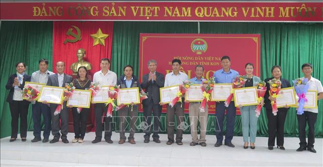 Các cá nhân, tập thể có thành tích xuất sắc trong các hoạt động tín dụng của Hội nông dân được khen thưởng tại Hội nghị. Ảnh: Dư Toán - TTXVN