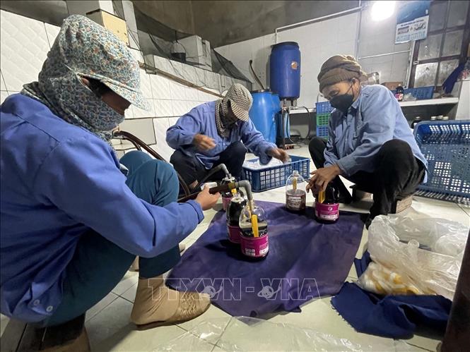 Công nhân Công ty Cổ phần nước mắm Tĩnh Gia (phường Ninh Hải, thị xã Nghi Sơn) đang sản xuất nước mắm. Ảnh: Nguyễn Nam-TTXVN