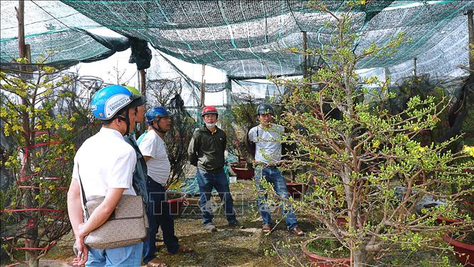 Đông đảo người dân đến tham quan, mua sắm tại chợ hoa Xuân. Ảnh: Hoài Nam - TTXVN