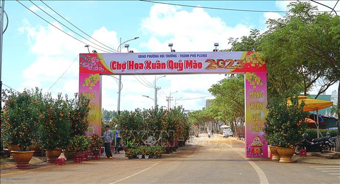 Môt trong ba địa điểm tổ chức chợ hoa Xuân của thành phố Pleiku, tỉnh Gia Lai. Ảnh: Hoài Nam - TTXVN