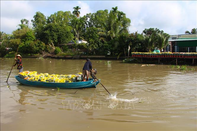 Trong ảnh: Hoa Tết được vận chuyển trên đường thủy. Ảnh: Hồng Thái - TTXVN