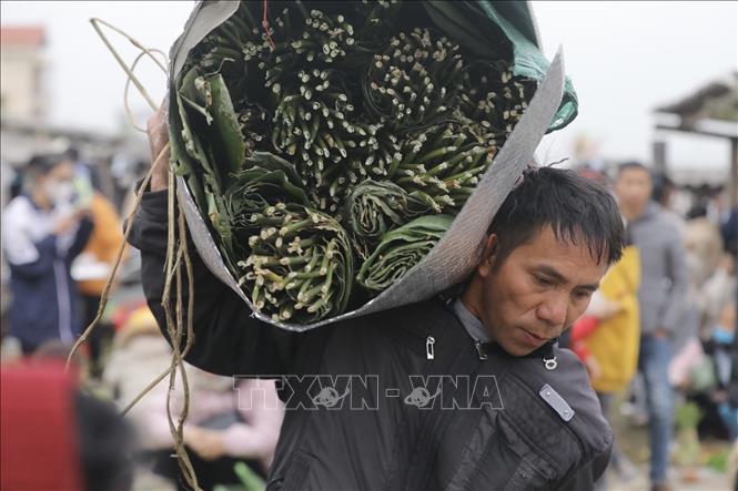 Lá dong để gói bánh chưng luôn là mặt hàng có mặt trong phiên chợ Vé cuối năm. Ảnh: Minh Quyết - TTXVN