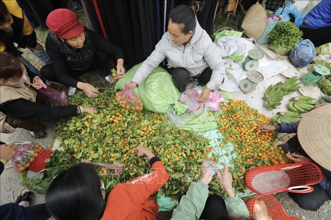 Các mặt hành truyền thống được bày bán, phục vụ người dân chuẩn bị đón Tết. Ảnh: Minh Quyết - TTXVN