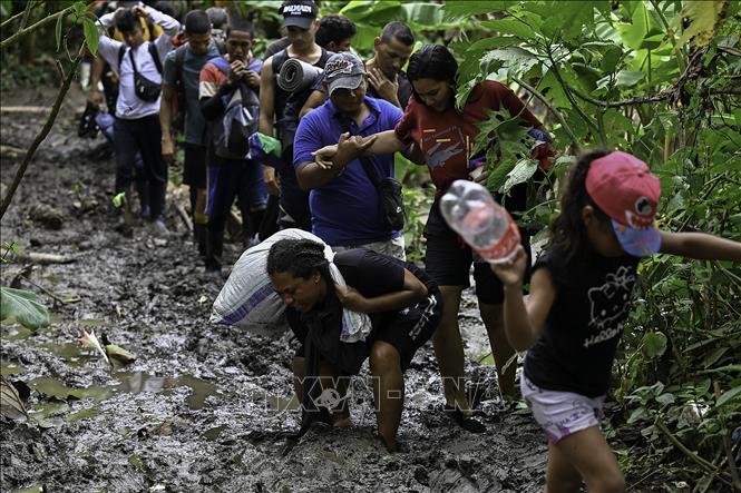 Trong ảnh: Người di cư từ Venezuela băng qua rừng rậm Darien ở Panama, ngày 13/10/2022. Ảnh: AFP/ TTXVN