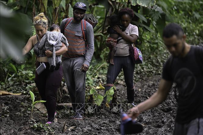Trong ảnh: Người di cư từ Venezuela băng qua rừng rậm Darien ở Panama, ngày 13/10/2022. Ảnh: AFP/ TTXVN