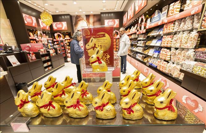 Sô cô la đón Tết Nguyên đán được bày bán tại một cửa hàng ở Toronto, Canada, ngày 18/1/2023. Ảnh: THX/ TTXVN