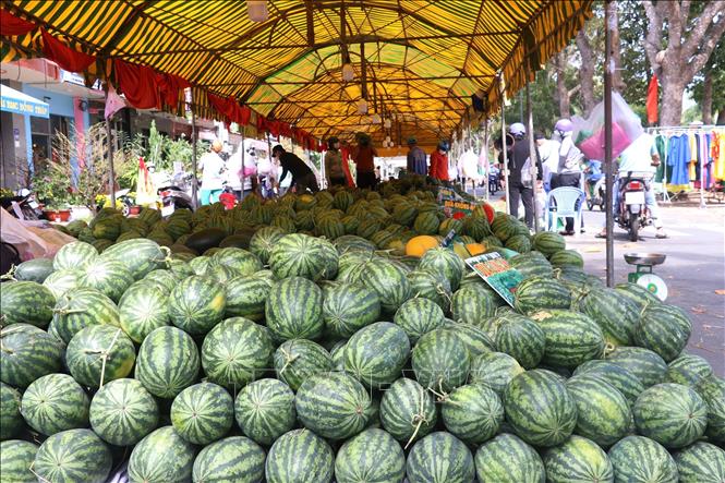 Chợ dưa hấu xuân 2023 tại thành phố Cao Lãnh. Ảnh: Nguyễn Văn Trí-TTXVN