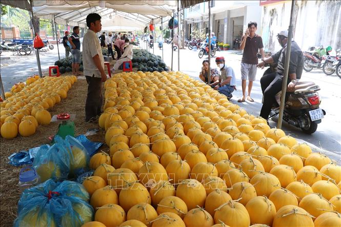Chợ dưa hấu xuân 2023 tại thành phố Cao Lãnh vắng người mua. Ảnh: Nguyễn Văn Trí-TTXVN