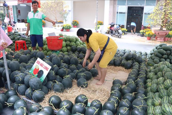 Chợ dưa hấu xuân 2023 tại thành phố Cao Lãnh vắng người mua. Ảnh: Nguyễn Văn Trí-TTXVN