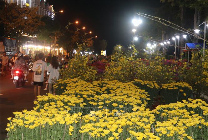 Trong ảnh: Chợ hoa xuân trong Khu đô thị Phú Cường, thành phố Rạch Giá (Kiên Giang).Ảnh:
Lê Huy Hải - TTXVN