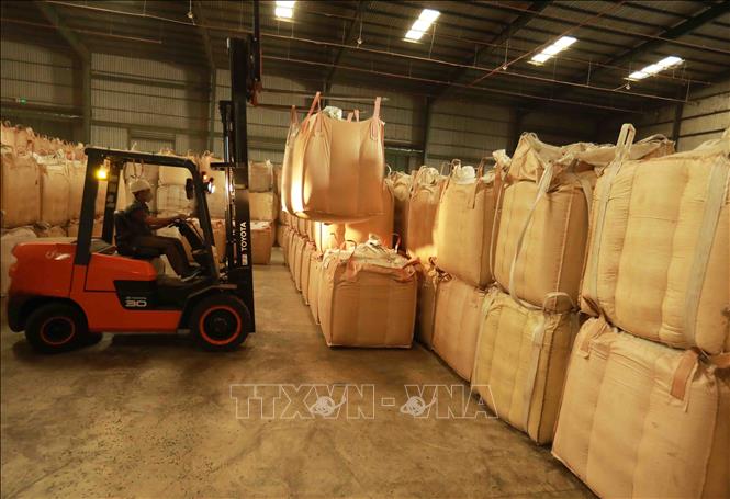 Sản phẩm cà phê nhân được bảo quản trong kho đúng quy cách đảm bảo cho xuất khẩu. Ảnh: Vũ Sinh - TTXVN