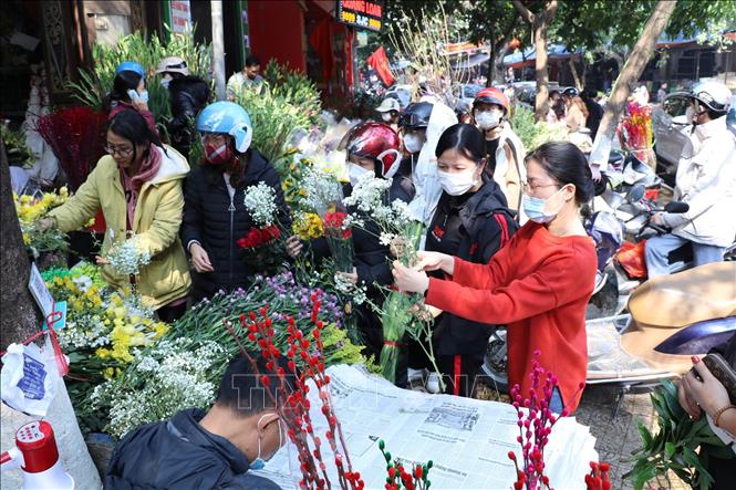 Trong ảnh: Người dân chọn mua hoa về chơi Tết tại khu vực chợ Rồng – thành phố Ninh Bình. Ảnh: Đức Phương - TTXVN