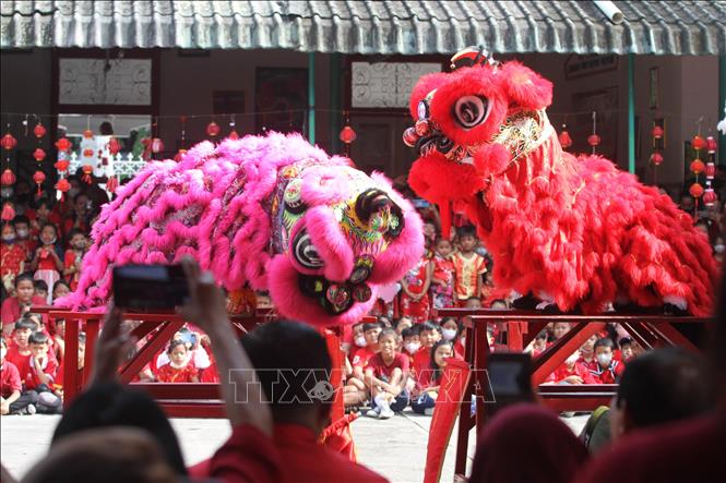 Múa lân đón Tết Nguyên đán Quý Mão tại  Surakarta, Trung Java, Indonesia, ngày 19/1/2023. Ảnh: THX/TTXVN