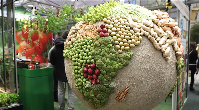 Một góc gian hàng trưng bày của Hà Lan tại Hội chợ Tuần lễ Xanh Berlin ngày 21/1/2023. Ảnh: Mạnh Hùng - PV TTXVN tại Đức