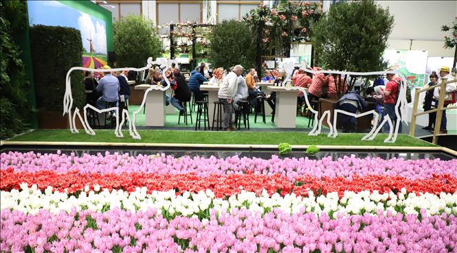 Một góc gian hàng trưng bày của Hà Lan tại Hội chợ Tuần lễ Xanh Berlin ngày 21/1/2023. Ảnh: Mạnh Hùng - PV TTXVN tại Đức