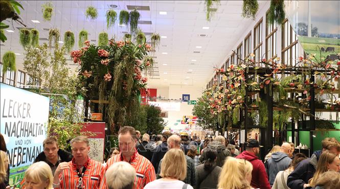 Gian hàng được bài trí nhiều hoa lan của Hà Lan tại Hội chợ Tuần lễ Xanh Berlin ngày 21/1/2023. Ảnh: Mạnh Hùng - PV TTXVN tại Đức