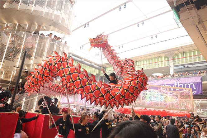 Múa lân mừng Tết Nguyên đán Quý Mão 2023 tại Houston, bang Texas, Mỹ ngày 15/1/2023. Ảnh: THX/TTXVN