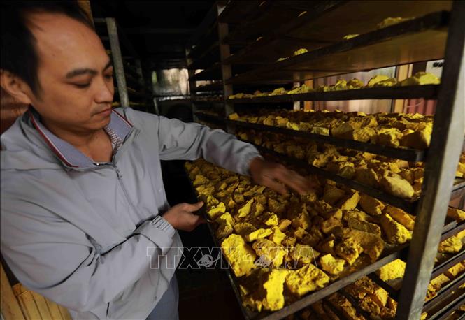 Mỗi năm, cơ sở Nguyễn Văn Thiện ở xã Chí Tân, huyện Khoái Châu sản xuất khoảng 10 tấn sản phẩm tinh bột nghệ. Ảnh: Vũ Sinh - TTXVN