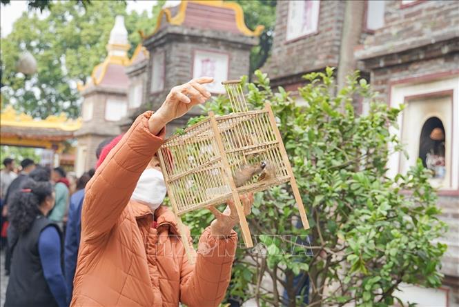 Người dân thả chim phóng sinh trong ngày đầu năm mới Quý Mão ở chùa Trấn Quốc (Hà Nội). Ảnh: Khánh Hoà - TTXVN