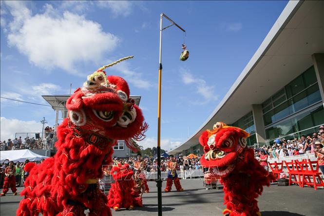 Múa sư tử đón Tết Nguyên đán tại Auckland, New Zealand, ngày 21/1/2023. Ảnh: THX/ TTXVN