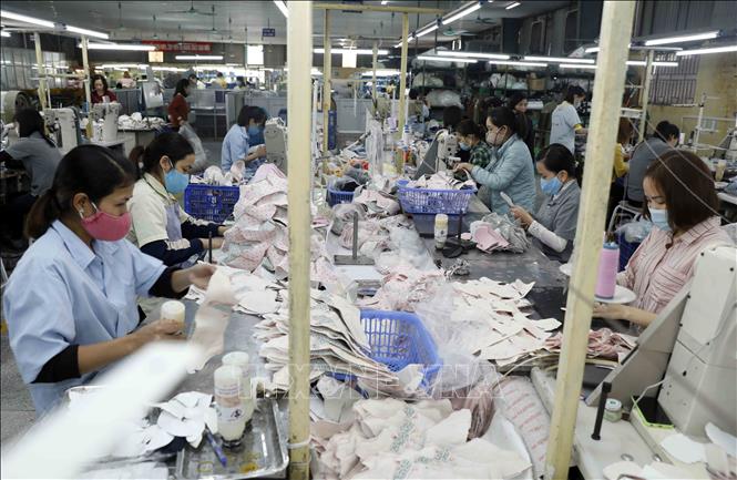 Trong ảnh: Sản xuất giày xuất khẩu sang thị trường EU tại Công ty TNHH Hóa dệt Hà Tây, xã Tân Lập, Đan Phượng, Hà Nội. Ảnh: Trần Việt - TTXVN