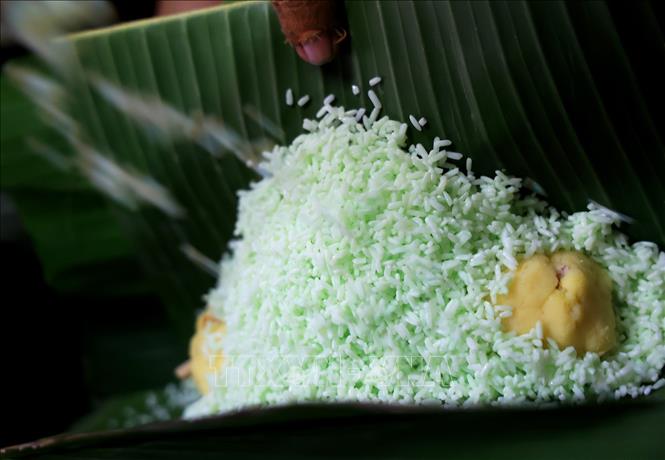 Glutinouse rice to make banh tet in Nhi Binh is immersed in pandan leaves to give it a fresh green shade. VNA Photo: Hồng Đạt