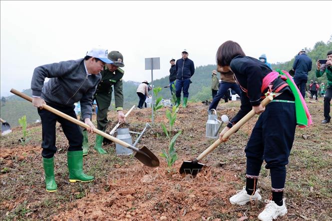 Trong ảnh: Hưởng ứng Tết trồng cây tại huyện Văn Chấn (Yên Bái). Ảnh: Tuấn Anh - TTXVN