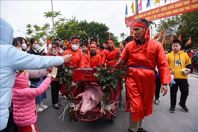 Trong ảnh: Nghi thức rước lợn trong lễ hội. Ảnh: Thanh Thương- TTXVN