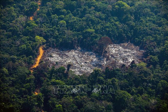 Trong ảnh (tư liệu): Khoảng rừng Amazon bị chặt phá tại Altamira, bang Para, Brazil, ngày 28/8/2019. Ảnh: AFP/ TTXVN