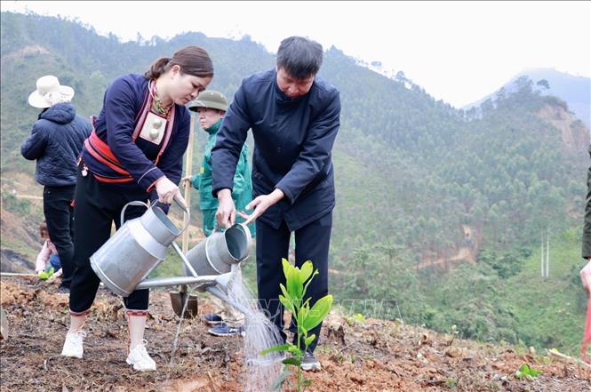Trong ảnh: Hưởng ứng Tết trồng cây tại huyện Văn Chấn (Yên Bái). Ảnh: Tuấn Anh - TTXVN

