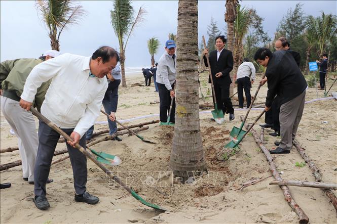 Các đại biểu tham gia trồng cây. Ảnh: Đinh Hương – TTXVN 