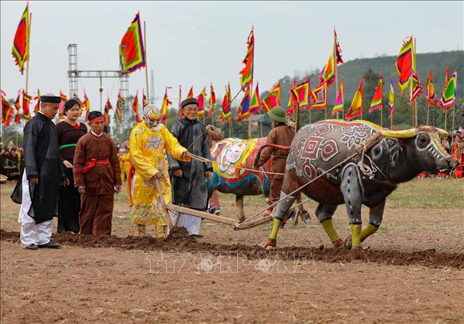 A re-enactment of the King ploughs during Tich dien ceremony. VNA Photo: Thanh Tùng