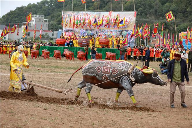A re-enactment of the King ploughs during Tich dien ceremony. VNA Photo: Thanh Tùng
